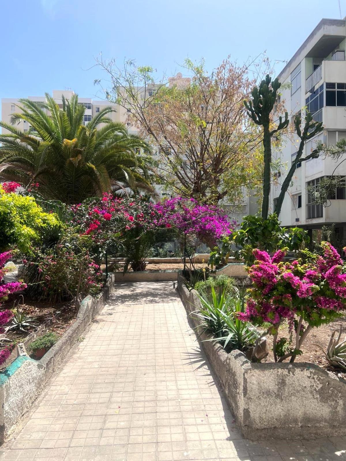 Relax Apartamento 7 Las Palmas de Gran Canaria Bagian luar foto